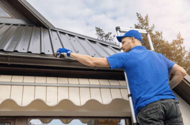 gutter cleaning in bellevue