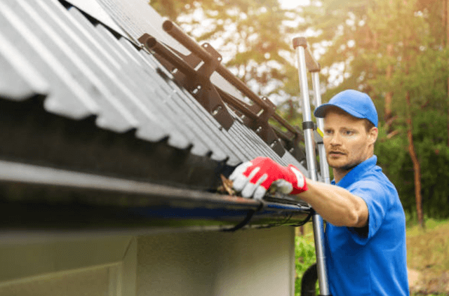 bellevue gutter service